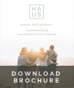 Download HAUS Recovery's Brochure
